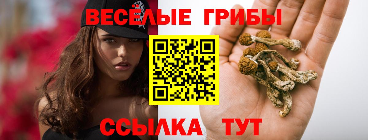 Фролово  Псилоцибиновые грибы Psilocybe  Вход с VPN  Псилоцибиновые грибы Magic Shrooms 